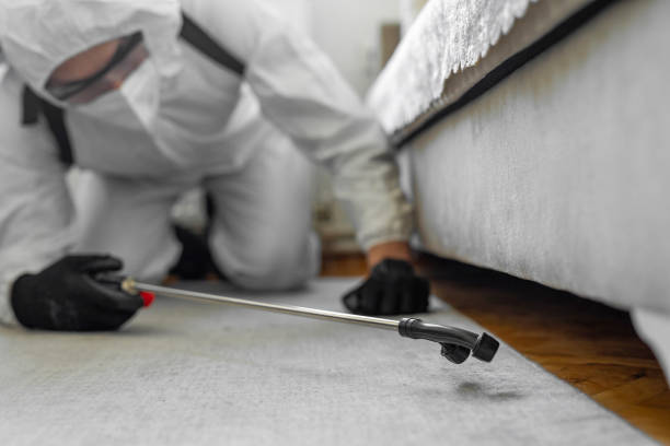 Professional Termite Control technician working in Whitehouse, OH