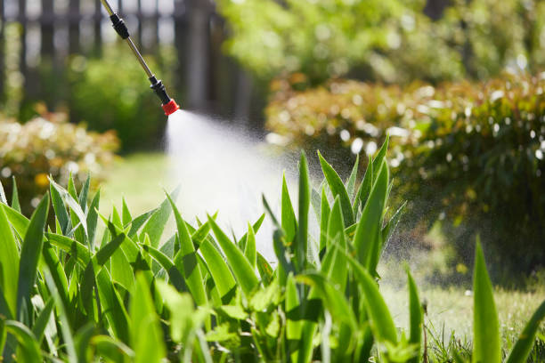 24/7 Emergency Termite Control experts in Whitehouse, OH