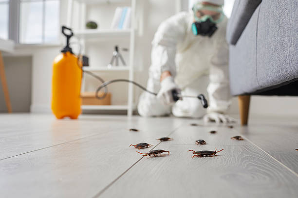 Trusted Fumigation Services service in Whitehouse, OH - Nex Pest Control