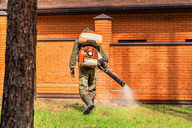 Trusted Cockroach Control service in Whitehouse, OH - Nex Pest Control